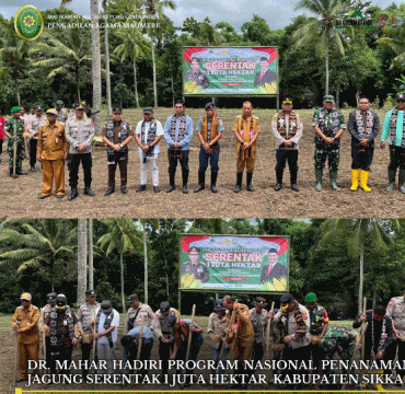 DR. MAHAR HADIRI PROGRAM NASIONAL PENANAMAN JAGUNG SERENTAK 1 JUTA HEKTAR KABUPATEN SIKKA